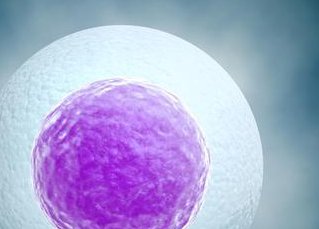 女性40+也能做试管婴儿，成功案例给你信心！