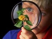 2026天津总医院做试管成功率高吗 一次能不能成功？